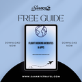 Free Guide: Best Flight Booking Websites & Apps